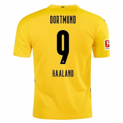 Футболка Боруссия Дортмунд Холланд 9 2020-2021